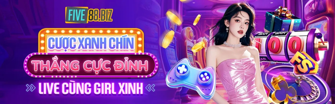 Hình ảnh Điều khoản Dịch vụ 5vin win